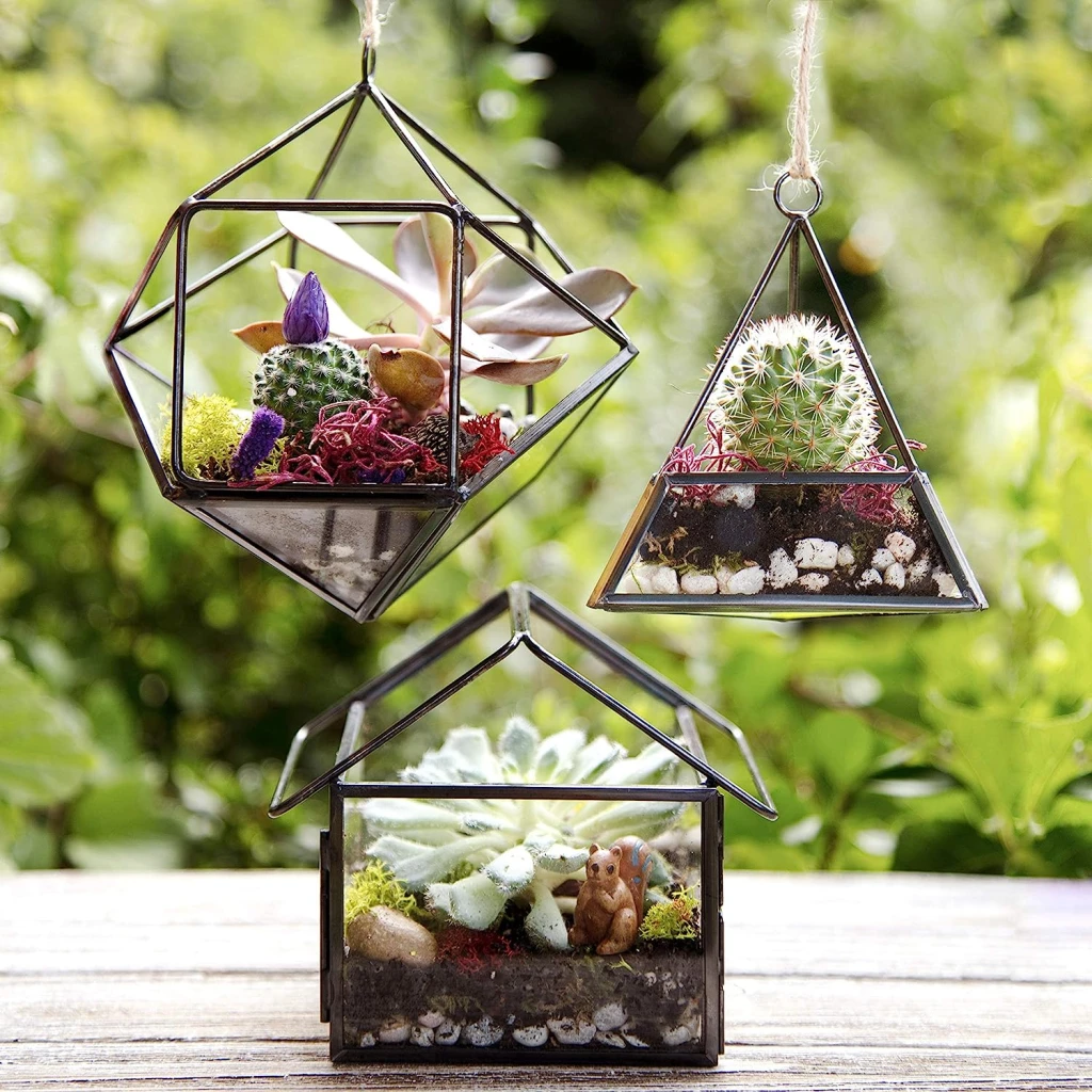 Hanging terrarium